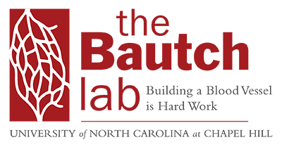 The Bautch Lab